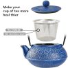 Classic Stylish Japanese -style Cast Iron Teapot With 304 Stainless Steel Infuser For Loose Leaf Tea - Blue - Cast Iron