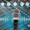 5 Core Premium Vocal Dynamic Cardioid Handheld Microphone Unidirectional Mic with 12ft Detachable XLR Cable to Â¼ inch Audio Jack;  Mic Clip;  and On/