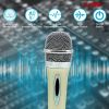 5 Core Premium Vocal Dynamic Cardioid Handheld Microphone Unidirectional Mic with 12ft Detachable XLR Cable to Â¼ inch Audio Jack and On/Off Switch fo